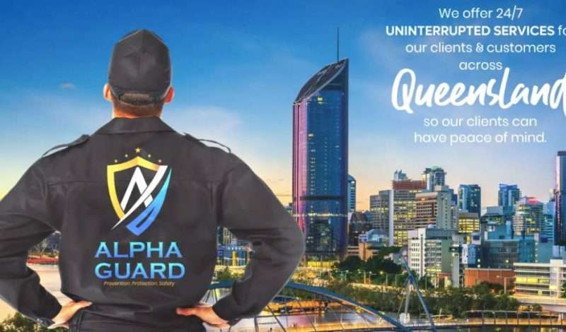 Alpha Guard SEO case study